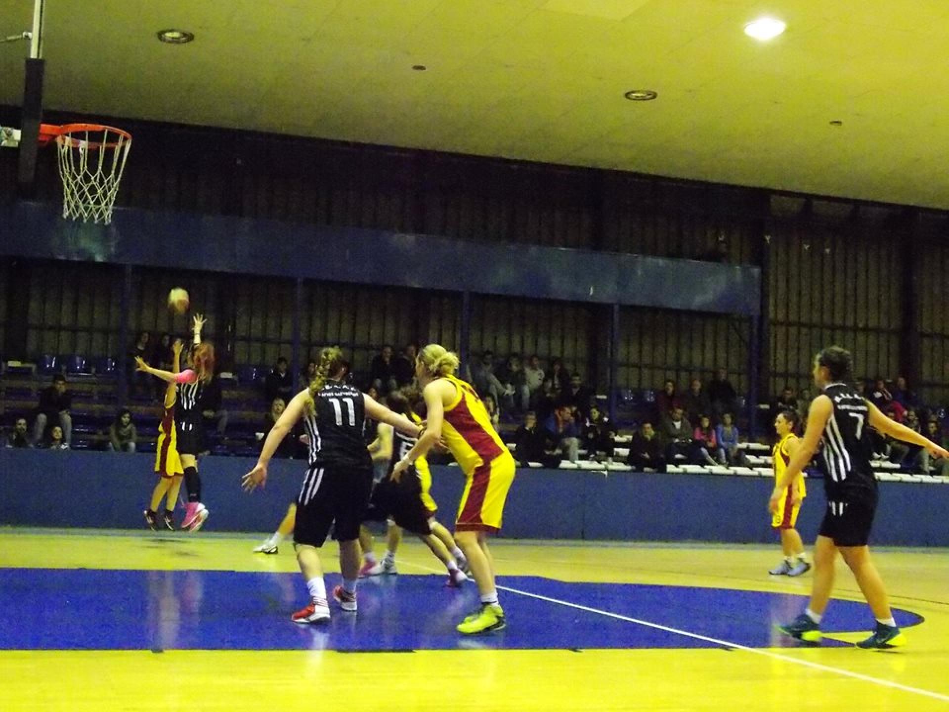 NEA ΓΥΝΑΙΚΩΝ BASKET, Μεταγραφές & Αποδεσμεύσεις 2014