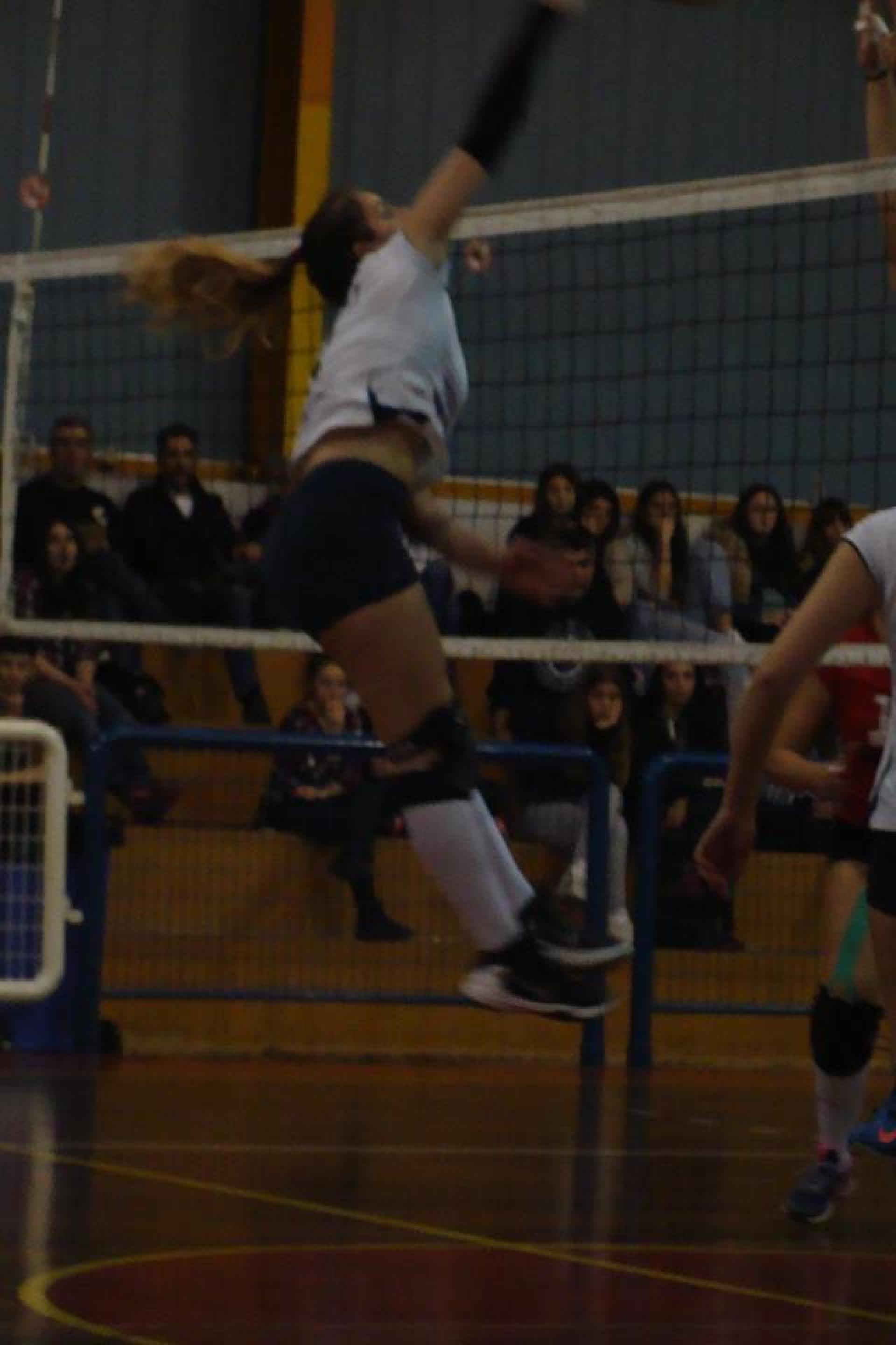ΕΣΠΕΔΑ ΤΟΠΙΚΗ ΚΑΤΗΓΟΡΙΑ ΓΥΝΑΙΚΩΝ Volley, Γύρος 2oς,11η Αγωνιστική