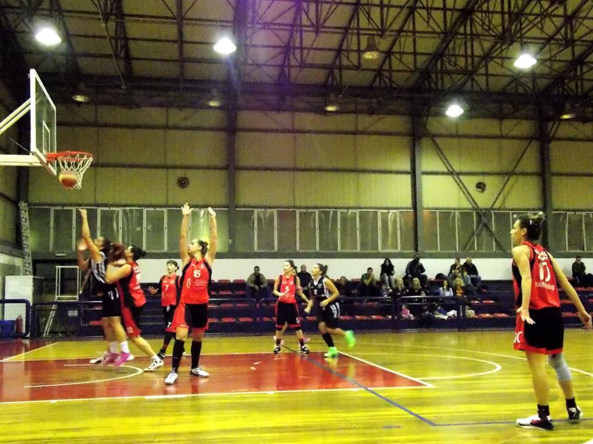 NEA ΓΥΝΑΙΚΩΝ BASKET, Μεταγραφές & Αποδεσμεύσεις 2014