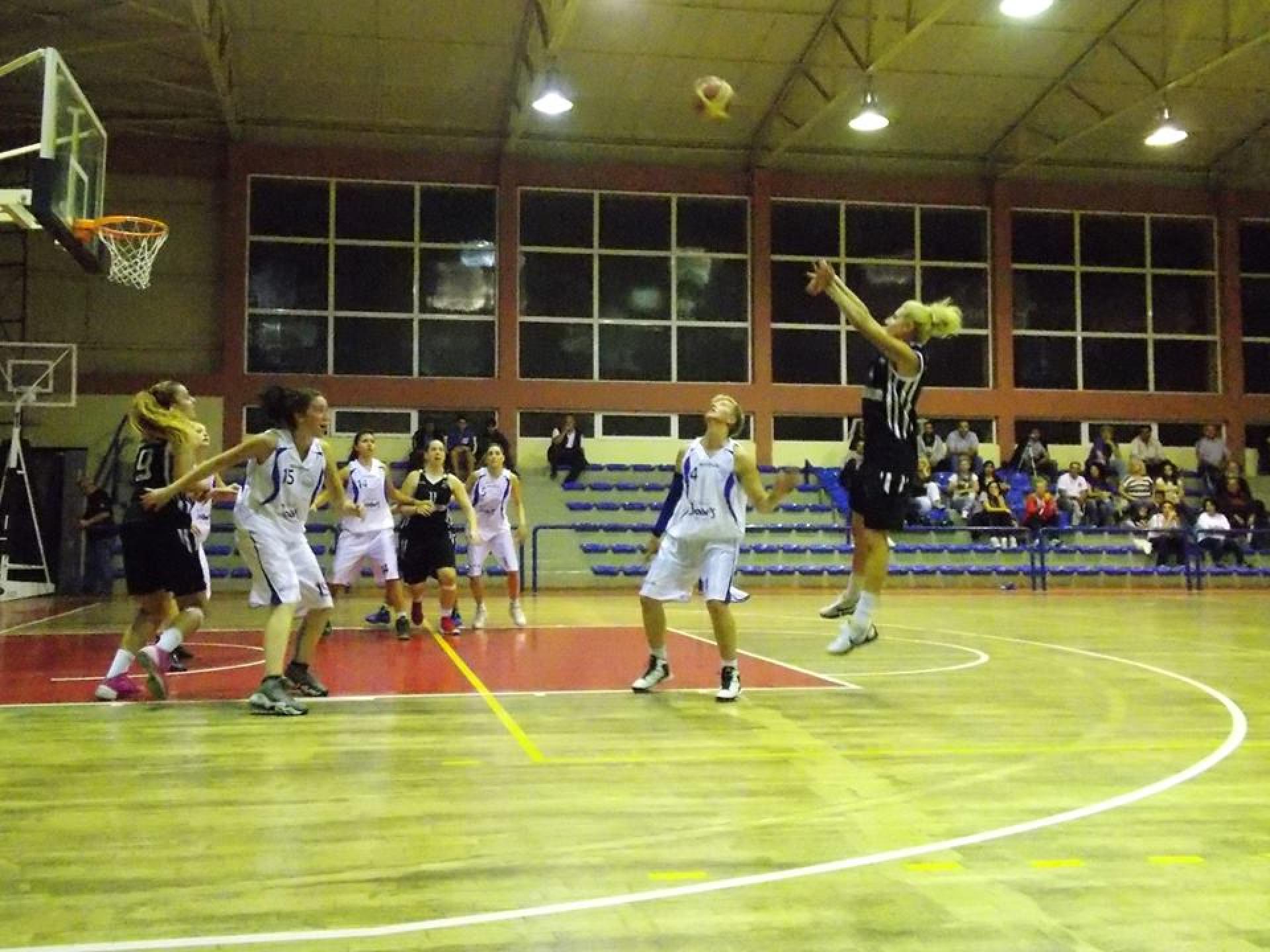 NEA ΓΥΝΑΙΚΩΝ BASKET, Μεταγραφές & Αποδεσμεύσεις 2014
