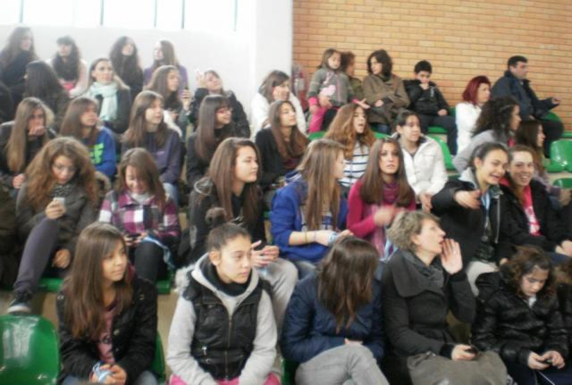 images/exedra 3.preview.jpg